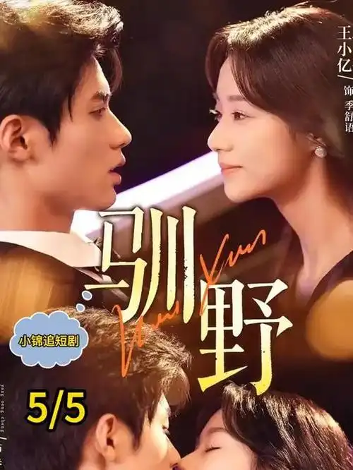 南岛来信 台剧在线观看